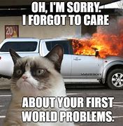Image result for First W World Problems Meme