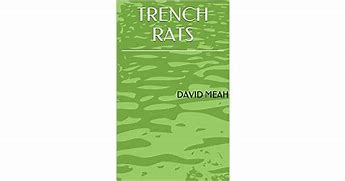 Image result for WW1 Trench Warfare Rats
