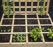 Image result for Square Foot Vegetable Garden