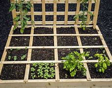 Image result for Square Garden Bed