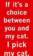 Image result for Funny Cat Lady Sayings