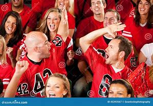 Image result for American Football Fans
