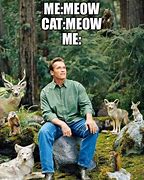 Image result for Arnold Cat Meme