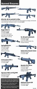 Image result for Assault Rifle Types