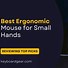Image result for Ergonomic Wireless Mouse