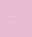 Image result for Hot Pink Paint