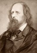 Image result for tennyson