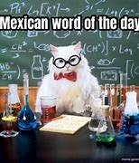 Image result for Mexican Word Day Meme