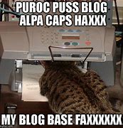 Image result for Fax Animal Meme