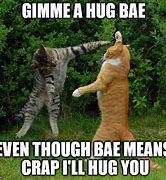 Image result for Gimme a Hug Meme