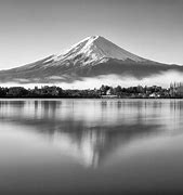 Image result for Fuji Monochrome