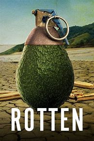 Image result for Rotten Series