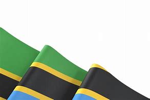 Image result for Tanzania Flag