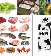 Image result for Whole Plant Food Diet
