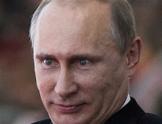 Image result for Russian PM Putin