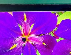 Image result for Broken Plasma TV