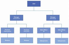 Image result for Corporate Hierarchy Chart
