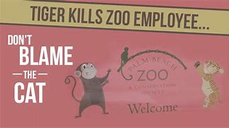 Image result for San Francisco Zoo Tiger Attacks