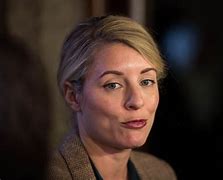 Image result for Melanie Joly Casual
