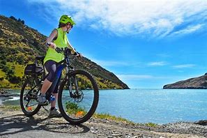 Image result for Electric Mountain Bikes