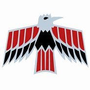 Image result for 1st Gen Firebird Logo