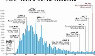 Image result for 1000 Virus Cases in New York