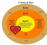 Image result for Spirit Soul and Body Week 1