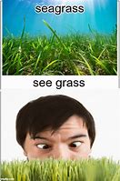 Image result for Are You a Grass Meme