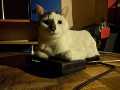 Image result for Router May Cat PCB