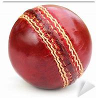 Image result for White Cricket Ball PNG