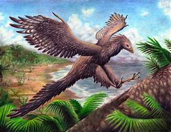 Image result for Dino Bird Drawing