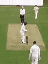 Image result for Cricket Bowling GIF