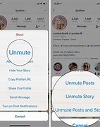 Image result for How to Unmute Someone On Instagram