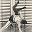 Image result for list of martial arts styles