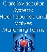 Image result for S3 and S4 Heart Sounds Images