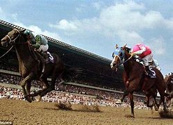 Image result for Hollywood Park Horse Racing
