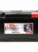 Image result for Lion Car Battery