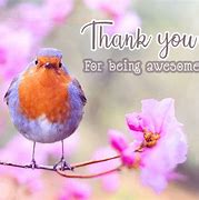 Image result for Thank You Bird Meme