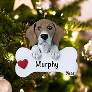 Image result for Pet Christmas Ornaments Personalized