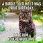Image result for Funny Animals Birthday E-cards