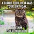 Image result for Happy Birthday to You Too Meme 10 Guy