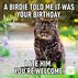 Image result for You Finally Remembered My Birthday Meme