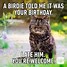Image result for Birthday Meme Month Friend
