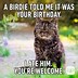 Image result for Happy Birthday Cat Meme for Him