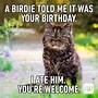 Image result for Sarcastic Bday Memes