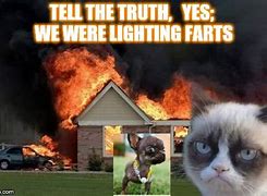 Image result for Cat Burning Meme