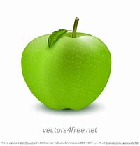 Image result for Apple Vector Art