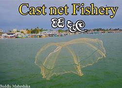 Image result for Apple Cast Fishery