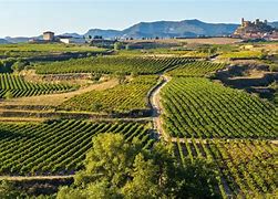 Image result for La Rioja, España