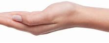 Image result for Palm Hand Greenscreen